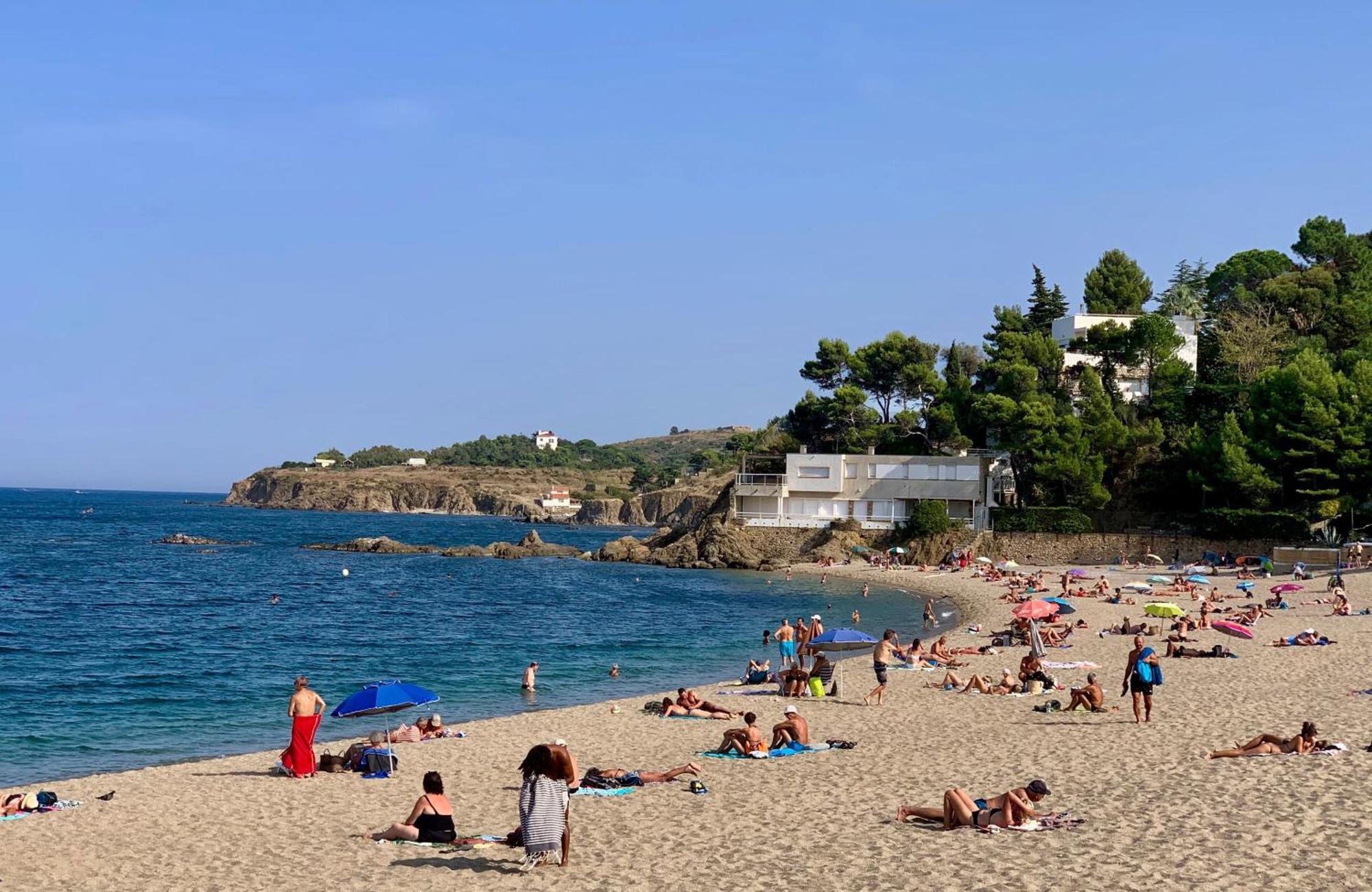 Studio Moderne Argeles Sur Mer.La Plage A Pieds, Espagne A 30Mn Екстериор снимка